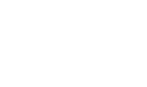 LOGO Steve Bousigne